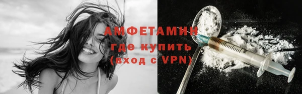 индика Ладушкин