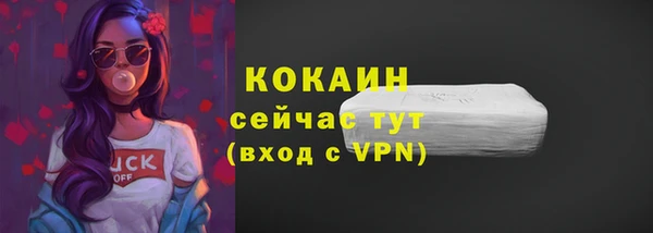 индика Ладушкин