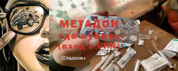 индика Ладушкин