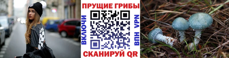 Галлюциногенные грибы ЛСД Красавино